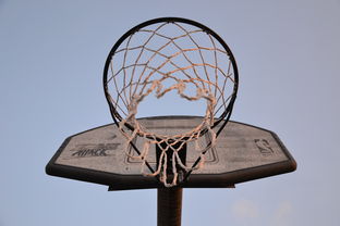 开yun官网-NBA联盟与高校篮球合作开发机制研究，大学篮球联盟叫什么