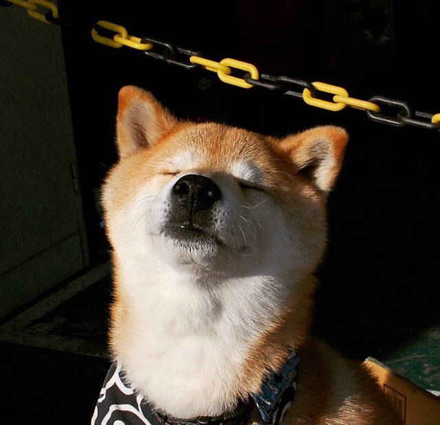 世界杯预选赛中国队逆袭 球员拼搏精神感动人心，世界杯预选赛 中国队出线分析