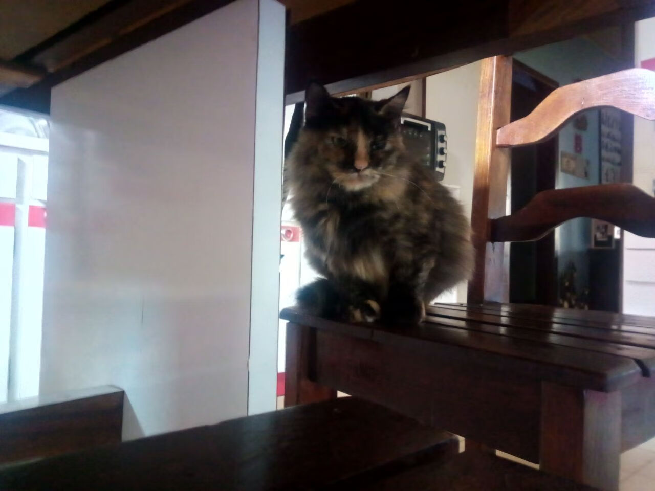 开云体育平台-埃及赛制解析：如何通过优化赛制提升运动员水平，埃及乙组比赛