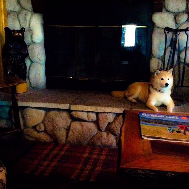 开云体育官方网站-广东队利用前场篮板制造多次补篮机会，广东男篮补强内线最近消息