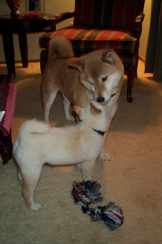 中国足球联赛搭建全员视频复盘反馈通道，足球赛后复盘app