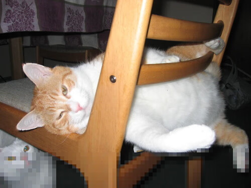 中超新赛季官方主题为青春奋进点燃足球梦想，2020年中超联赛口号